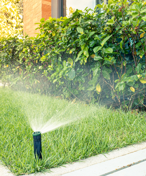 A sprinkler is spraying water on a lawn